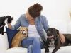 Get to Tip Your Pet Sitter To Show Them Appreciation