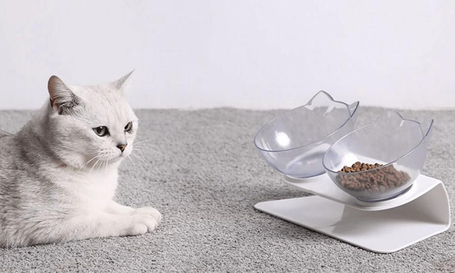 The Reasons Why Your Pet Cats Need an Elevated Pet Bowl