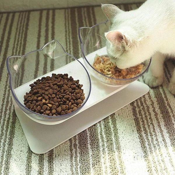 anti vomiting cat bowl