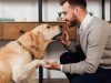 Socializing Your Dog: 6 Tips to Train Your Dog to Behave
