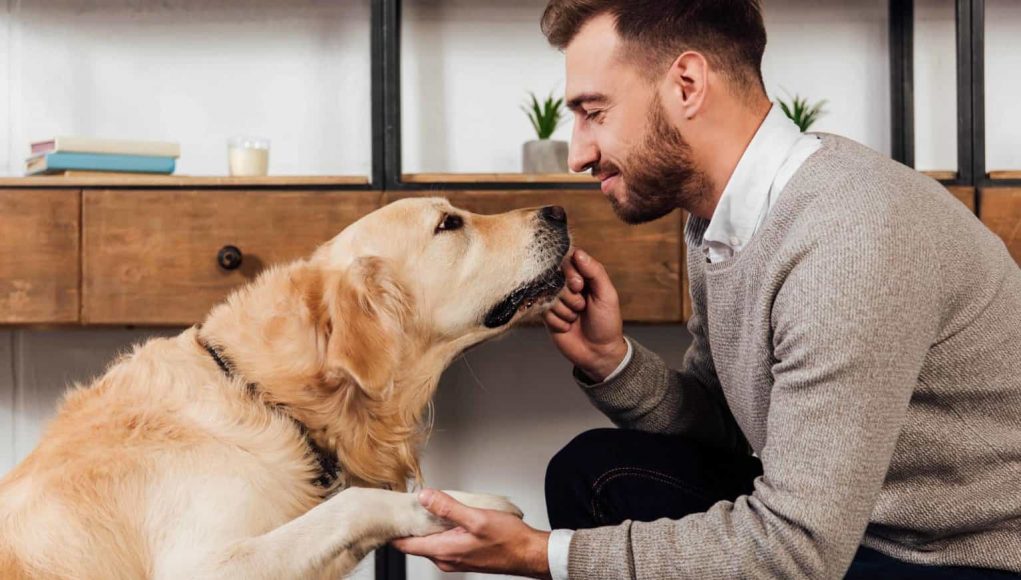 Socializing Your Dog: 6 Tips to Train Your Dog to Behave